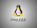 Linux解压.gz的命令？