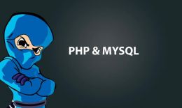 PHP获取mysql数据表的字段名称及详细属性